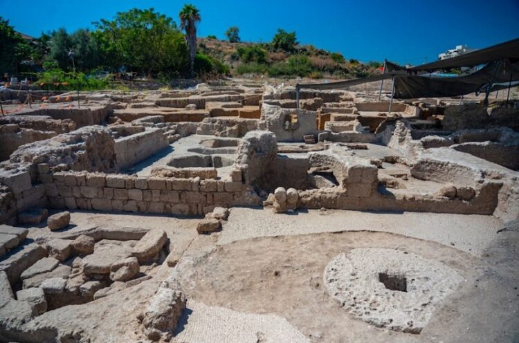 Nhà máy nấu rượu vang có niên đại 1.500 năm tuổi được tìm thấy ở Israel