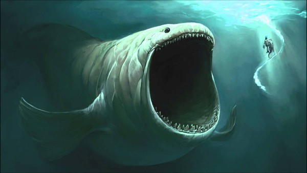 Khám phá bí ẩn về cá mập trong lòng đại dương