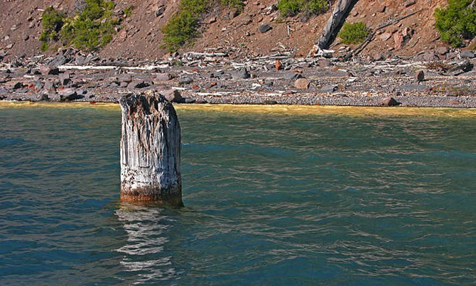 Bí ẩn từ khúc gỗ tồn tại giữa lòng hồ 120 năm