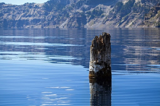 Khái quát về thân gỗ ở giữa lòng hồ Crater